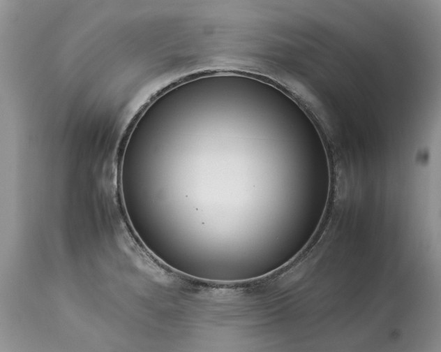 X0000113071280200909110931