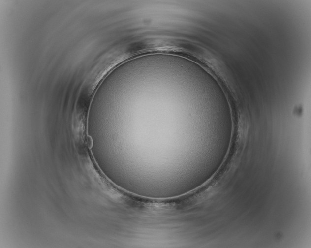 X0000113071281200909110931