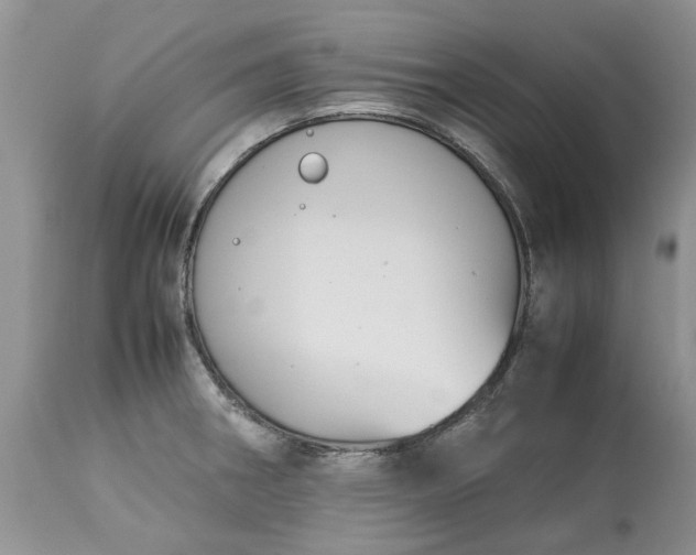 X0000113071282200909110931