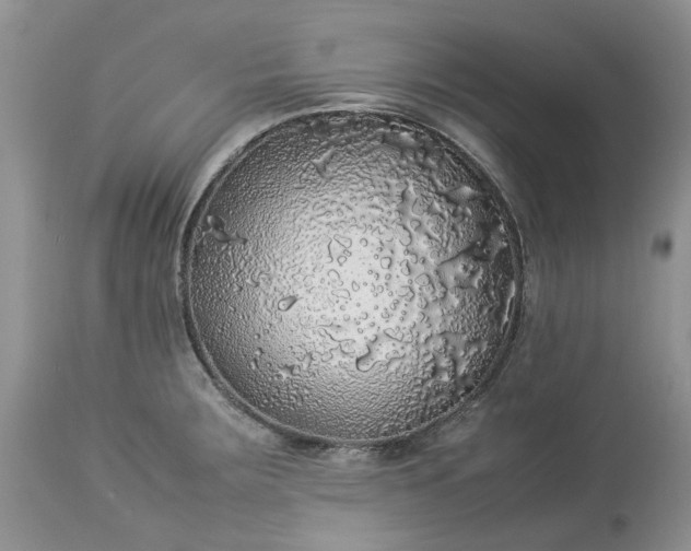 X0000113071283200909110931