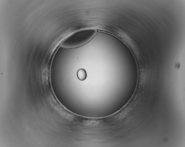 X0000113071284200909110931