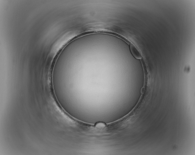 X0000113071285200909110931