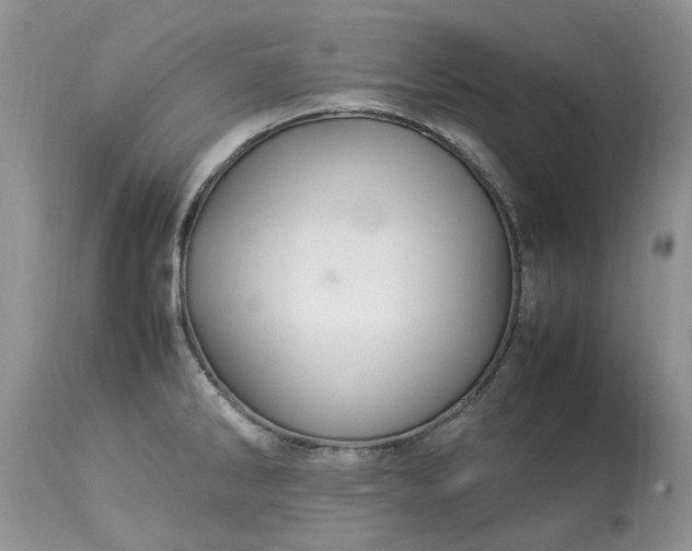 X0000113071286200909110931