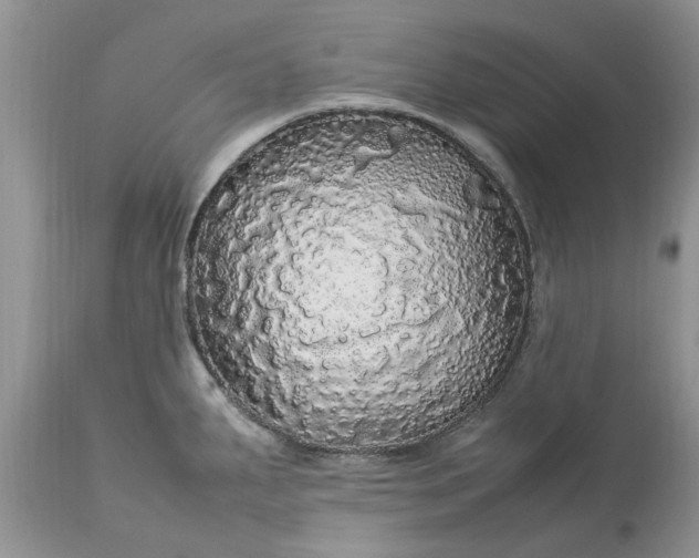 X0000113071287200909110931