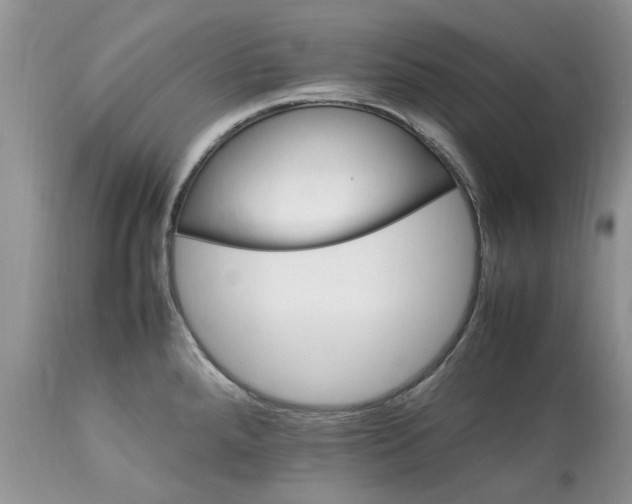 X0000113071288200909110931