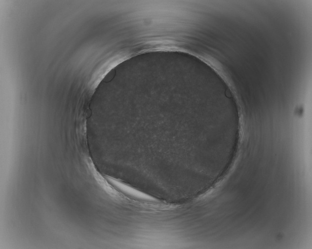 X0000113071289200909110931