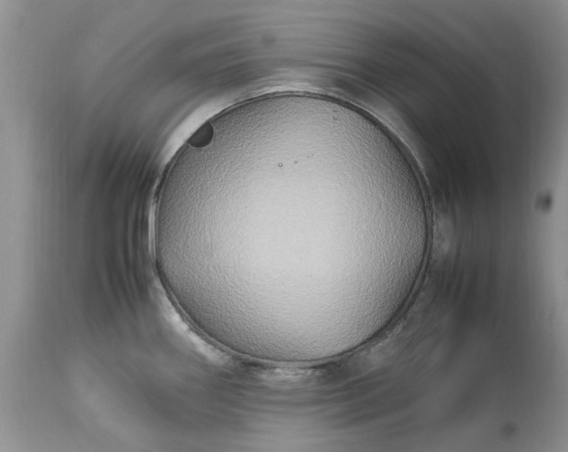 X0000113071290200909110931