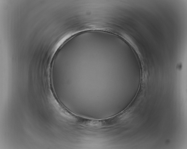 X0000113071291200909110931