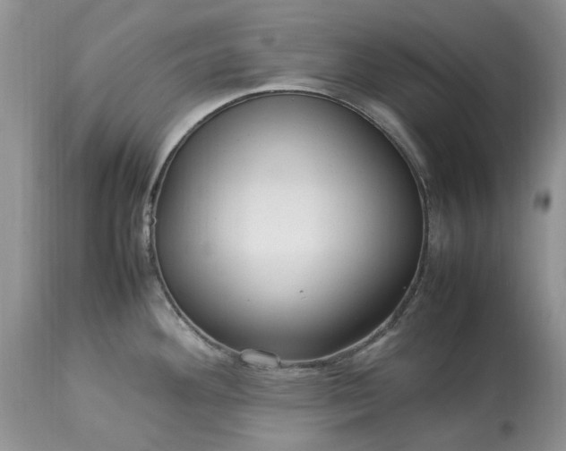 X0000113071292200909110931