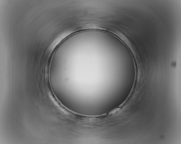 X0000113071293200909110931