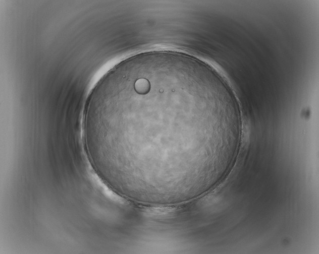 X0000113071294200909110931