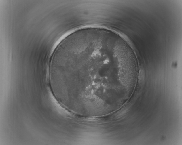 X0000113071295200909110931