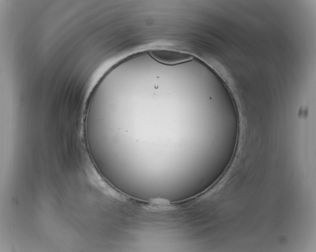 X0000113071296200909110931