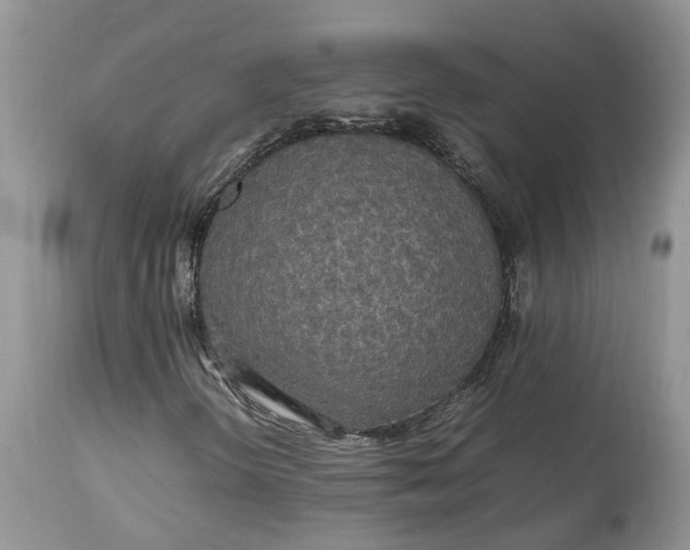 X0000113071298200909110930