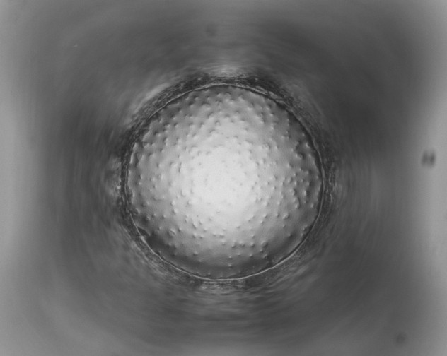 X0000113071301200909110930