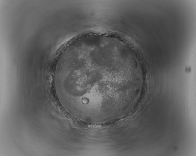 X0000113071302200909110930