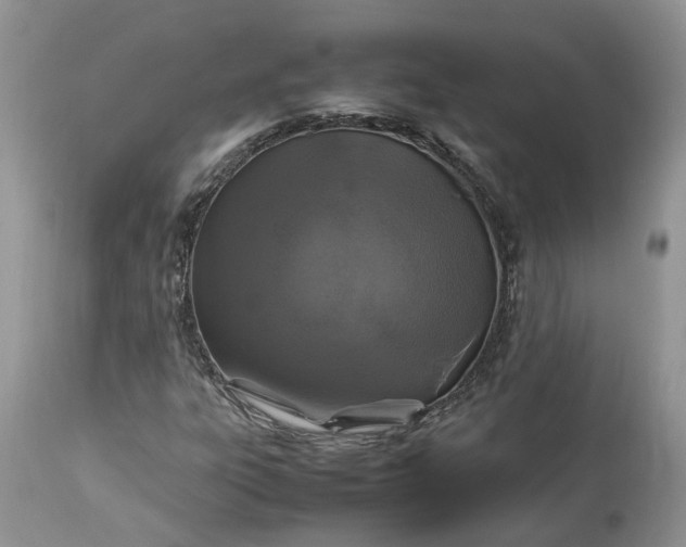 X0000113071303200909110930