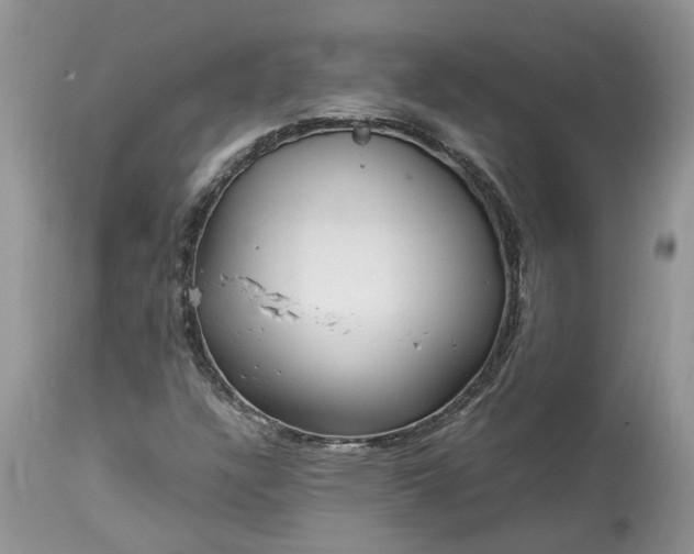 X0000113071304200909110930