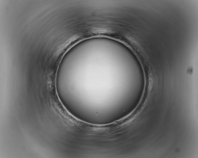 X0000113071305200909110930