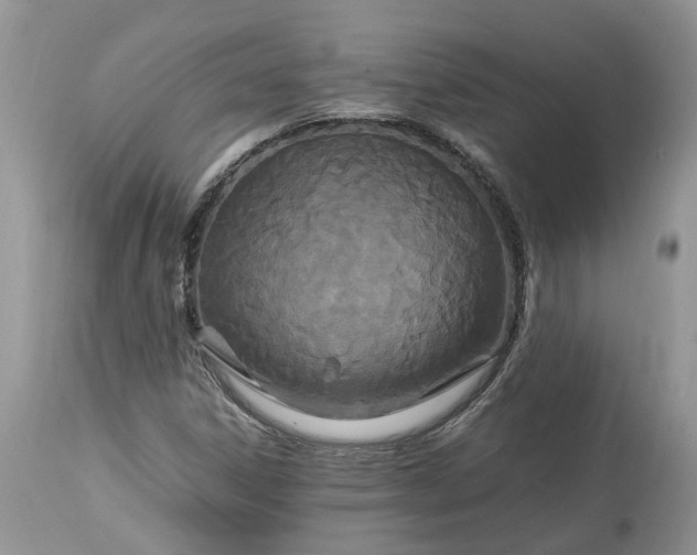 X0000113071306200909110930