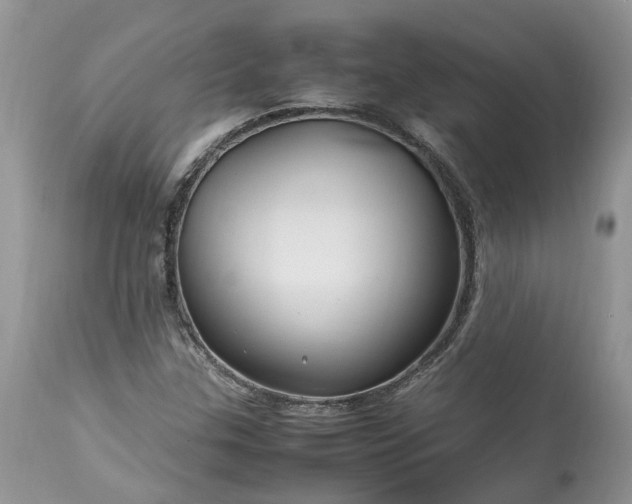 X0000113071307200909110930