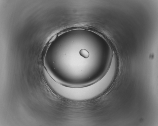 X0000113071308200909110930