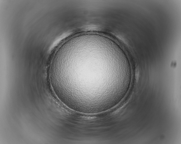 X0000113071309200909110930