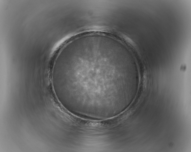 X0000113071310200909110930