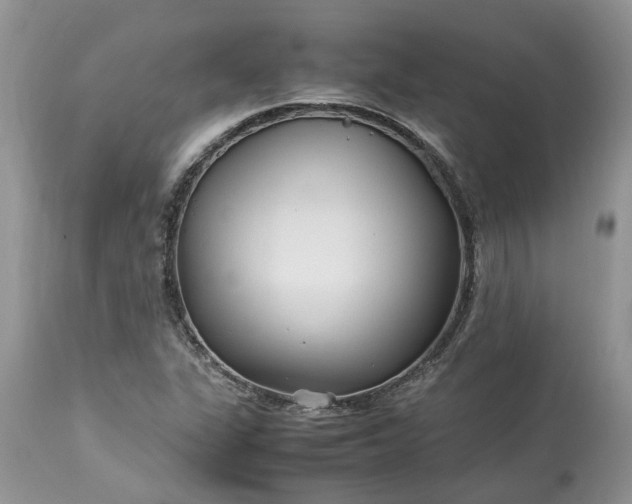 X0000113071311200909110930