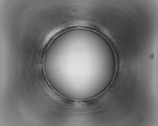 X0000113071312200909110930