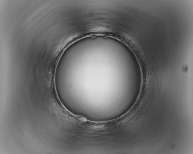 X0000113071313200909110930