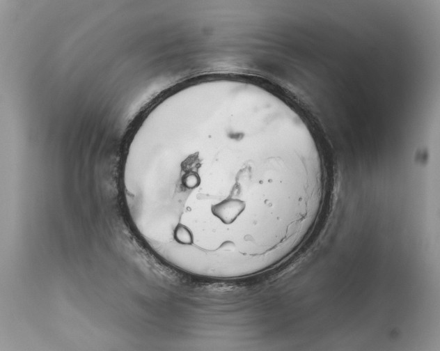 X0000113071314200909110930