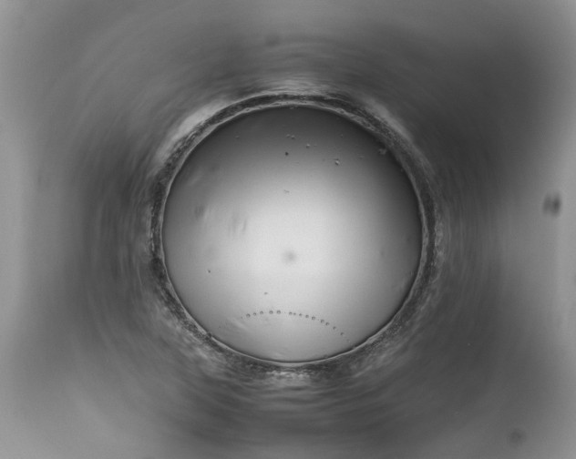 X0000113071315200909110930