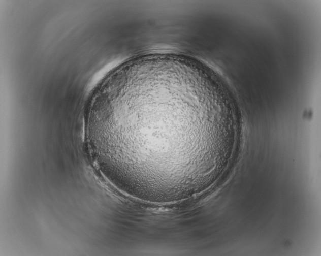 X0000113071317200909110930