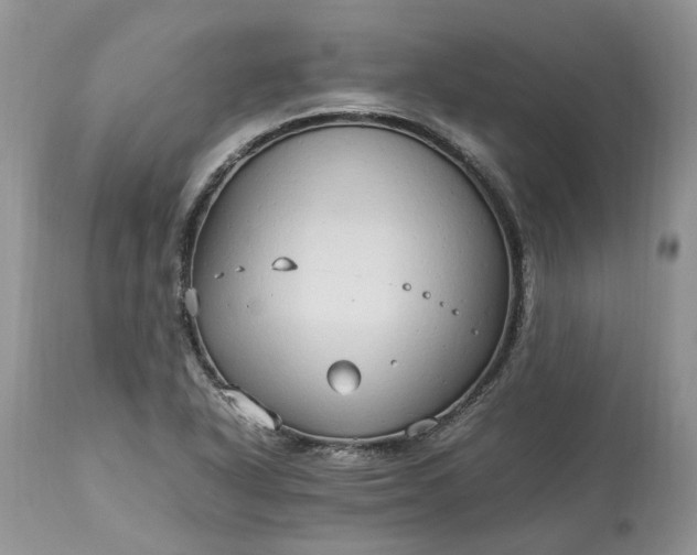 X0000113071318200909110930