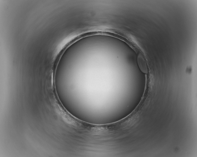 X0000113071320200909110931