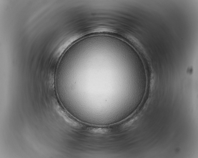 X0000113071321200909110931