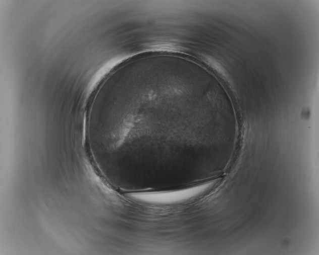 X0000113071323200909110931