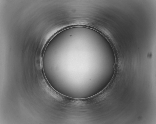 X0000113071324200909110931