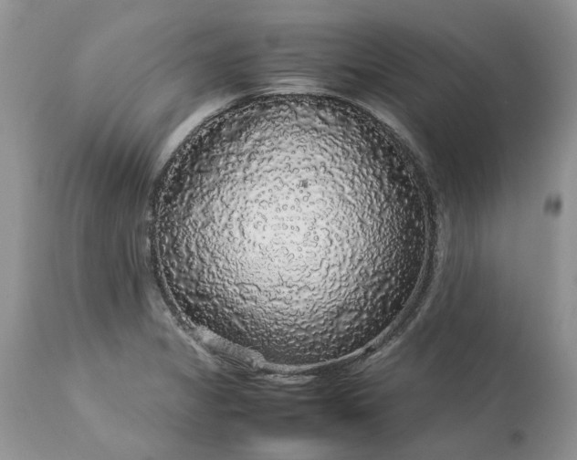 X0000113071325200909110931