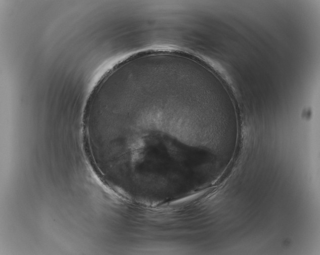 X0000113071327200909110931