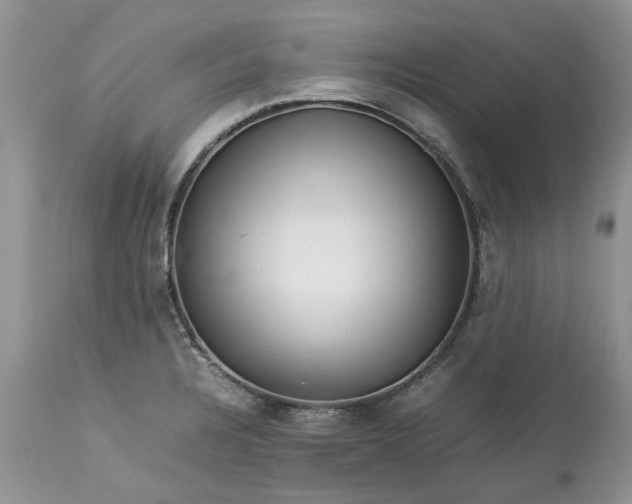 X0000113071328200909110931