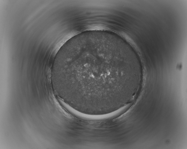 X0000113071329200909110931