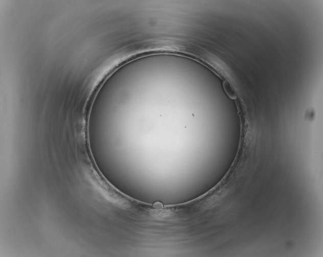 X0000113071332200909110931