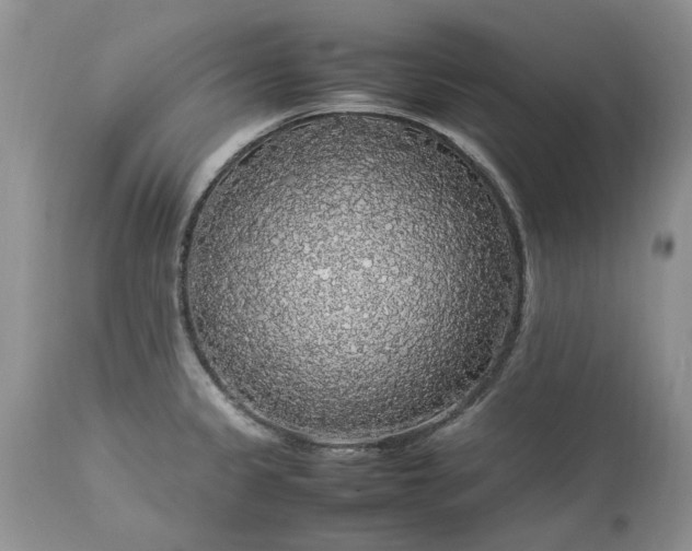 X0000113071333200909110931