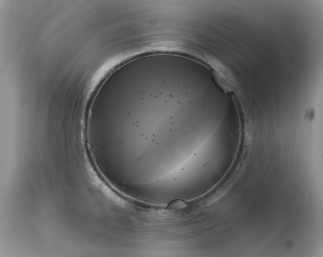 X0000113071334200909110931