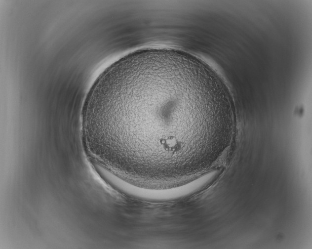 X0000113071335200909110931