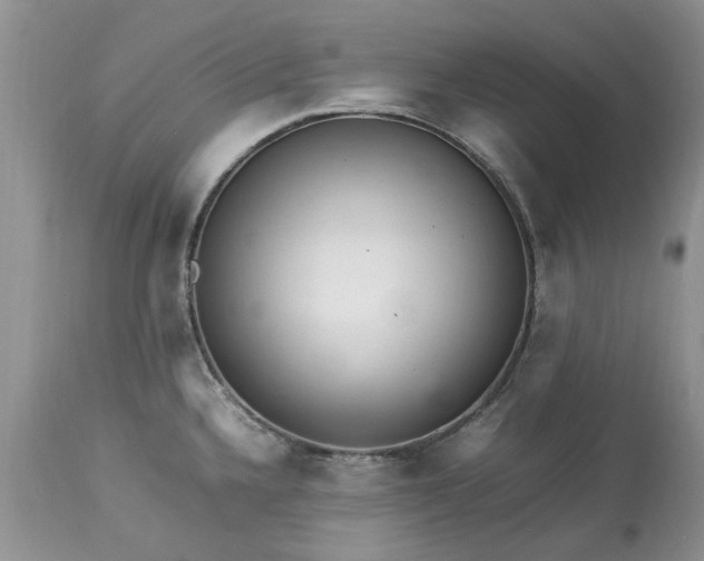 X0000113071336200909110931