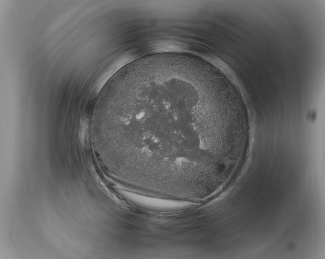 X0000113071337200909110931