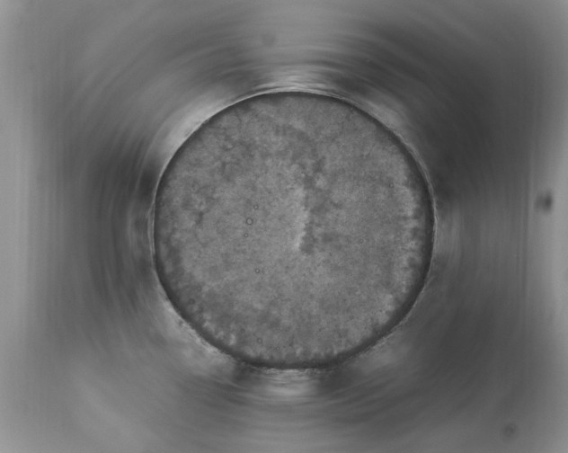 X0000113071338200909110931